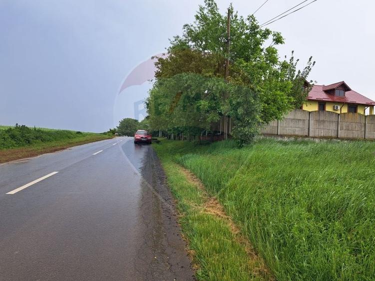 Teren Construcții intravilan de 15000 mp, în Ciolpani