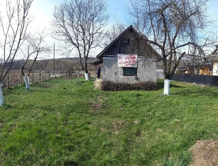 Teren de 3000 mp, în Dumbrăvița