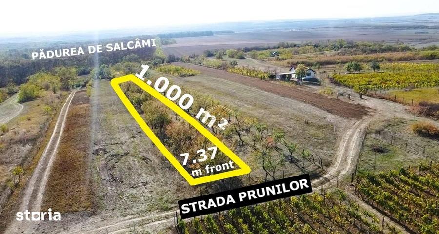 Teren de 1000 mp, în Burdea