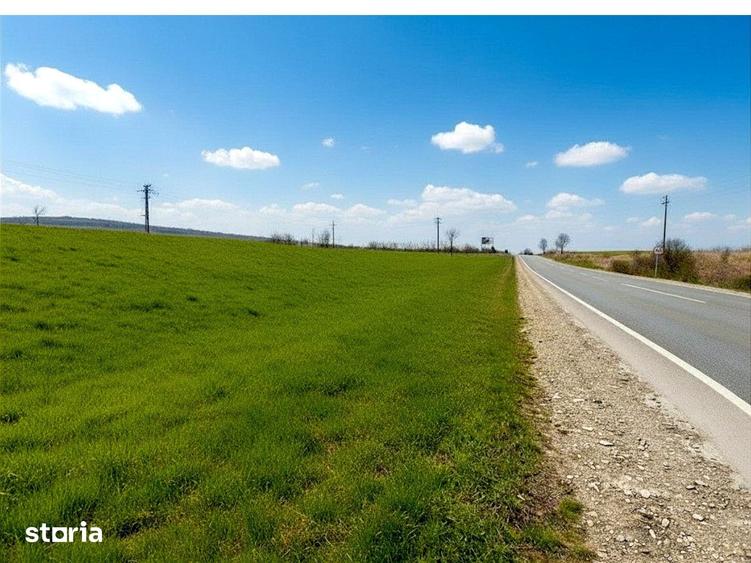 Teren de 12400 mp, în Pătrăuți