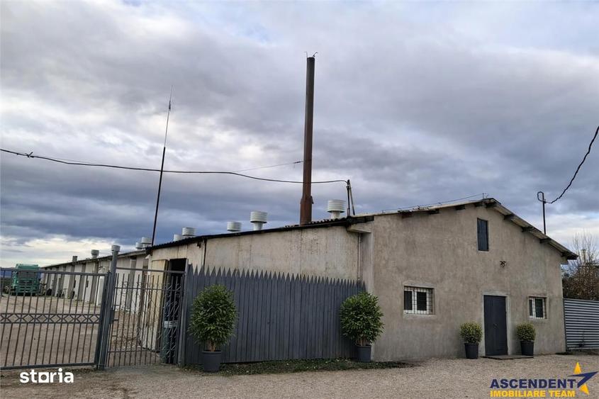 Spațiu comercial, de 800 mp, în Bod