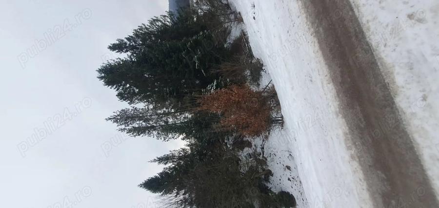 Teren de 3200 mp, în Capu Câmpului