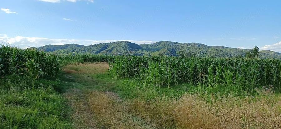 Teren de 1000 mp, în Copăcelu