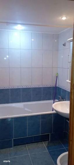 3 camere - Teiul Doamnei - Otesani - 2
