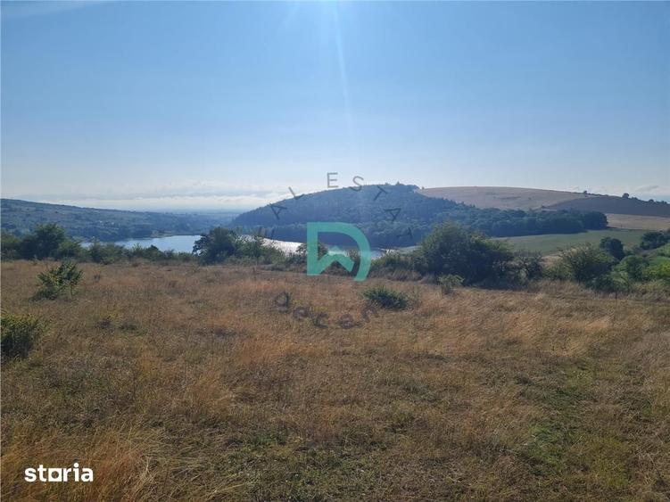 Teren de 50000 mp, în Moacșa