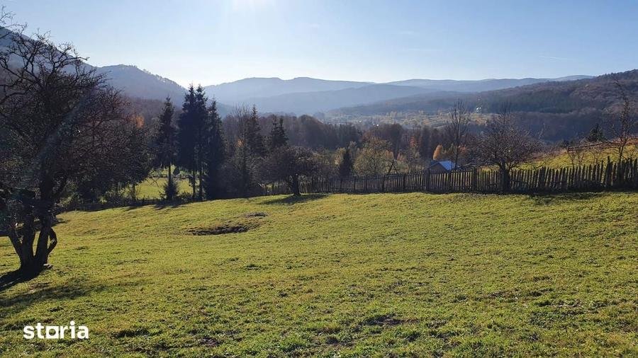 Valea Doftanei Teren superb oportunitate imobiliara investitie sigura - 5