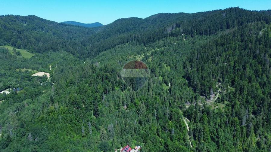Teren de 120000 mp, în Sucevița