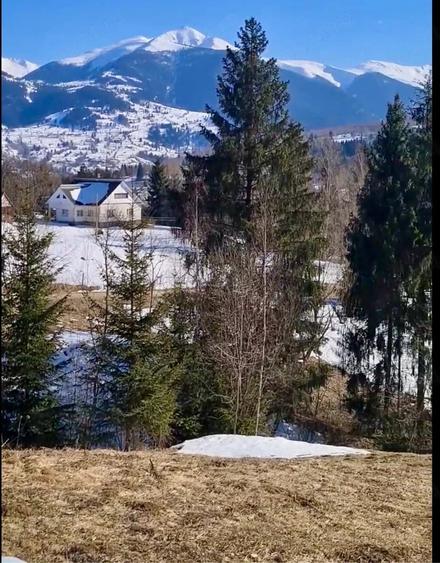 Teren de 3900 mp, în Central