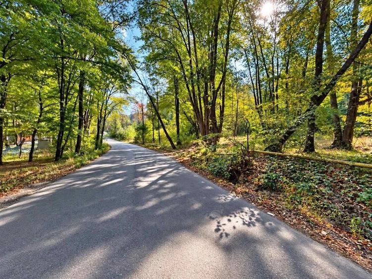Teren extravilan de 10000 mp, în Bucium