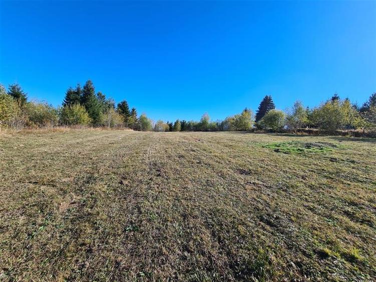 Teren Construcții intravilan de 4483 mp, în Mărișel