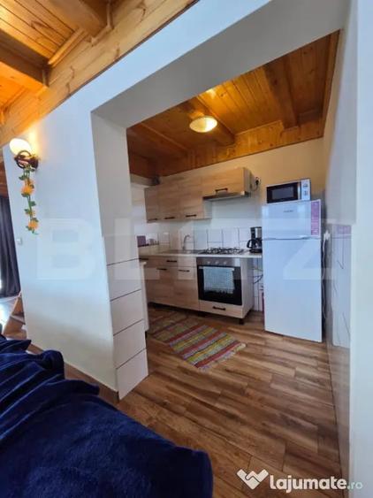 Casă cu 2 camere cu Teren 3000 Mp în Central