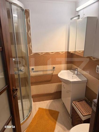 Proprietate cu doua case renovate, in inima comunei Vulcan - 17