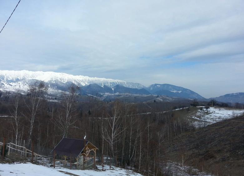 Teren extravilan de 3750 mp, în Moieciu de Jos