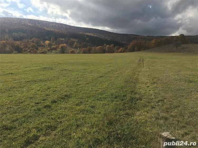 Teren de 29713 mp, în Malnaș