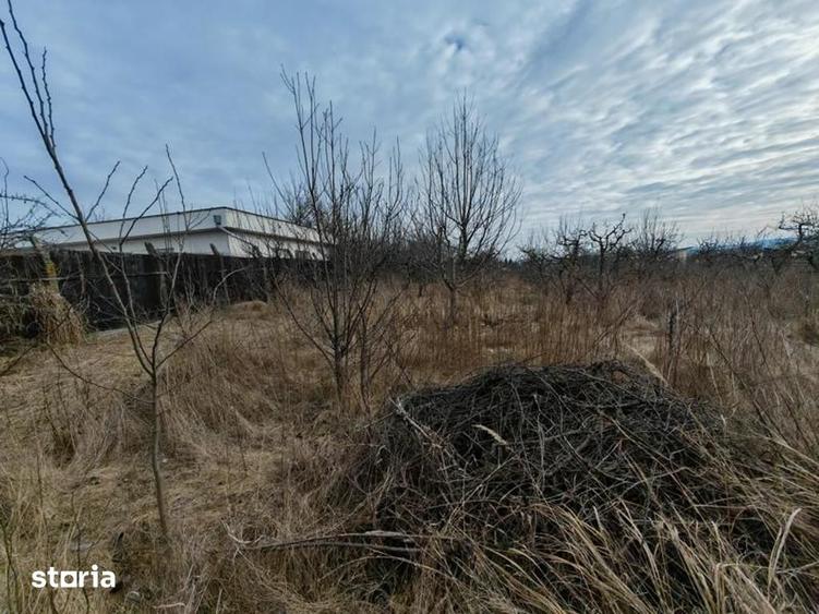 Teren de 1660 mp, în Letea Veche