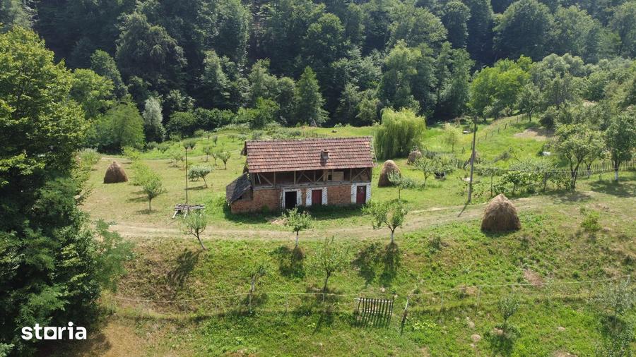 Teren de 6200 mp, în Cicănești