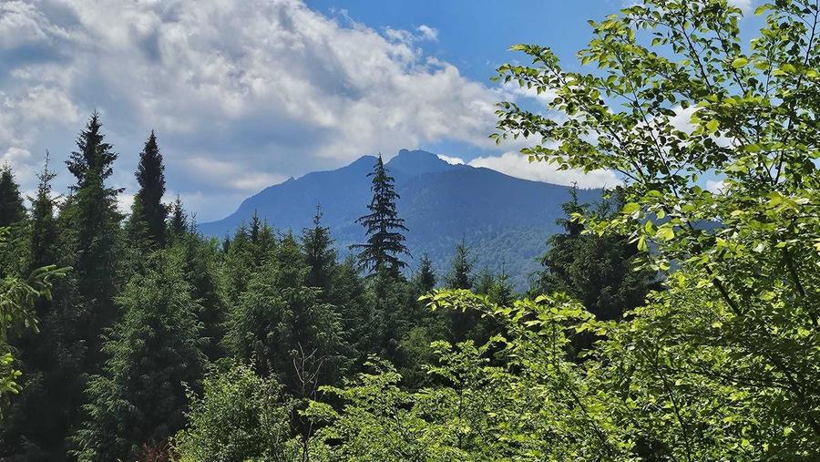 Teren de 3436 mp, în Ceahlău