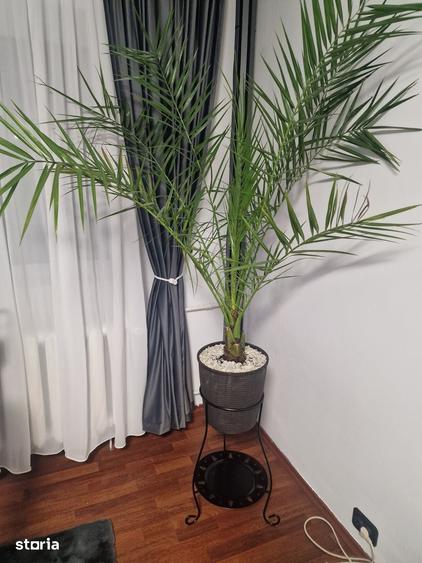 Apartament cu 2 camere în Crângași