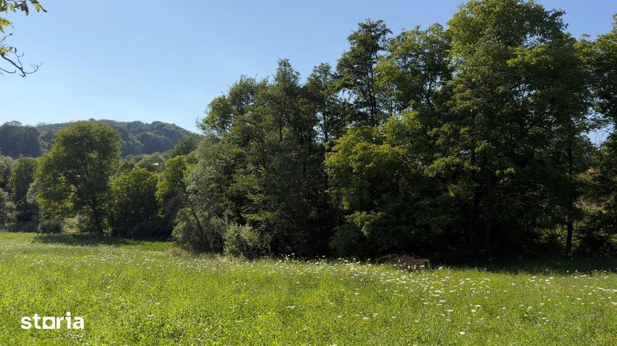 Teren Parau | Valea Danului, Curtea de Arges | Vidraru | - 8