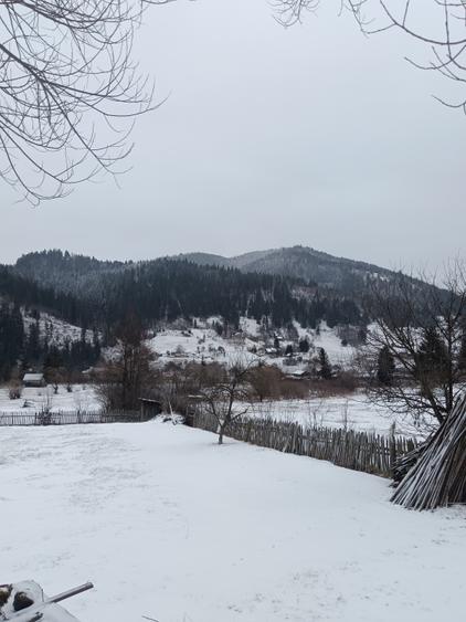 Teren Construcții intravilan de 600 mp, în Neagra