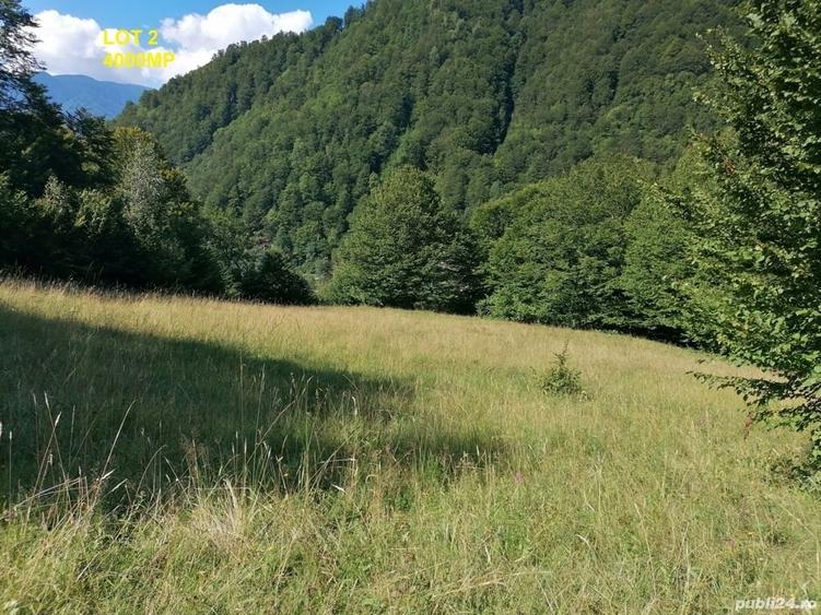 Teren în Malaia