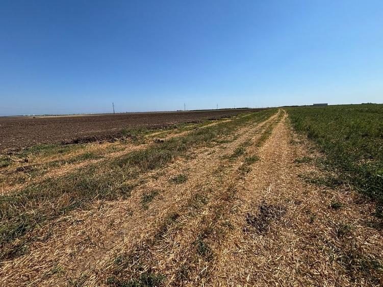 Teren de 15000 mp, în Agigea