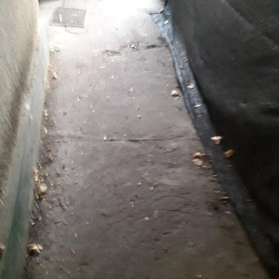 Casă cu 2 camere cu Teren 16 Mp în Basarabia