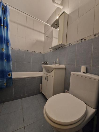Apartament cu 2 camere semidecomandat în Dosu Bricii