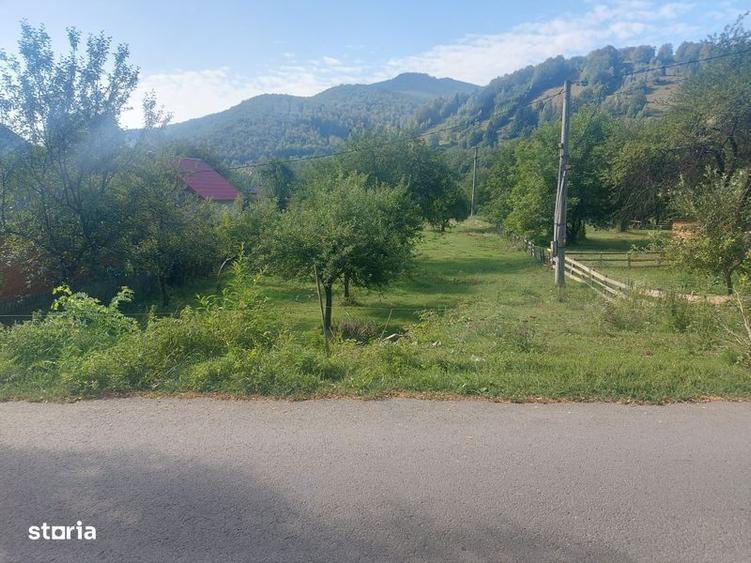 Teren de 1784 mp, în Avram Iancu