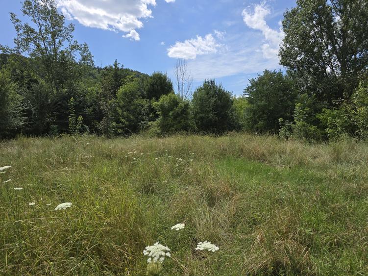 Teren Construcții intravilan de 6858 mp, în Calea Romanului