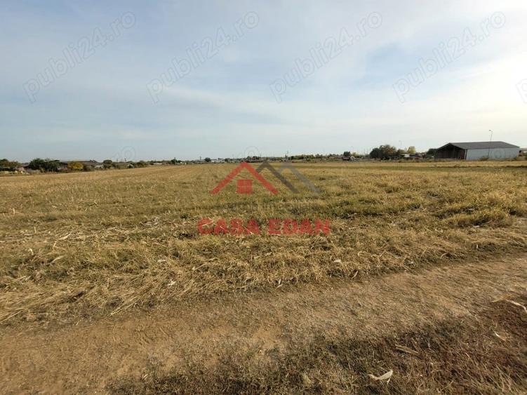 Teren intravilan in Baicoi zona targului--10.000mp--5e - 5