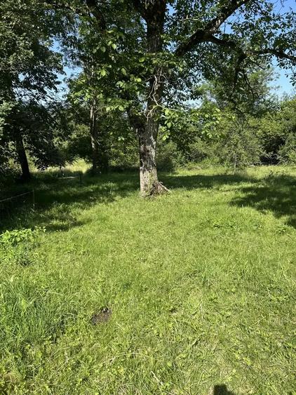 Casă cu 2 camere în Central