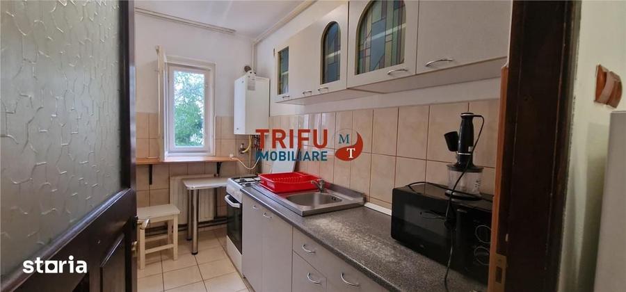 Apartament cu 2 camere semidecomandat în Cetate