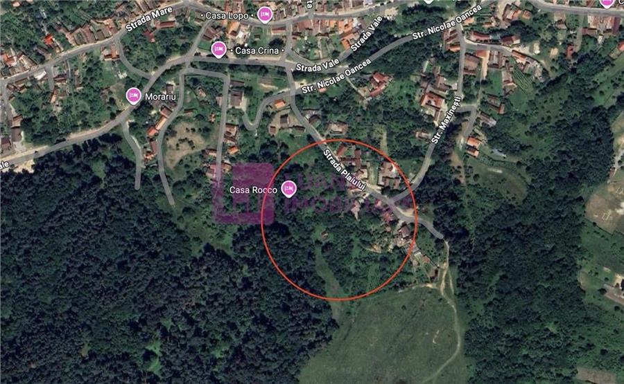 Teren Construcții intravilan de 3581 mp, în Vale