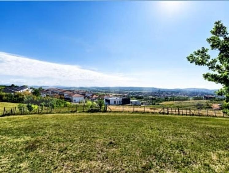Teren Construcții intravilan de 10000 mp, în Unirii