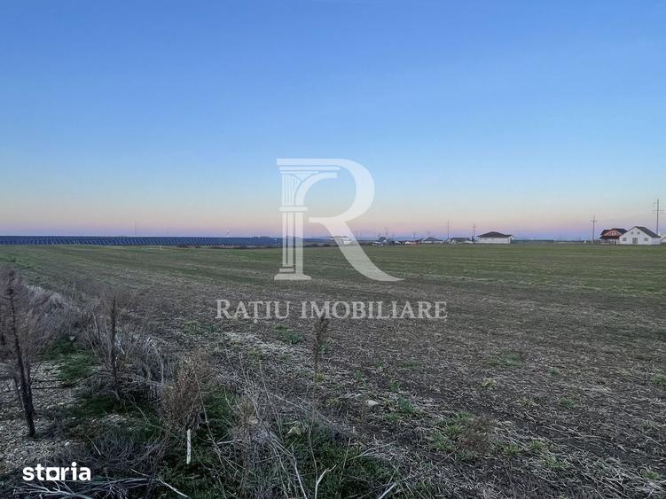 Teren de 500 mp, în Nojorid