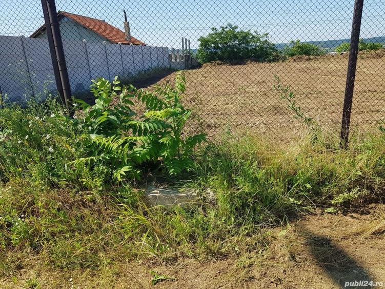 Teren de 1800 mp, în Schela
