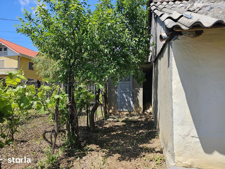 Casă cu 3 camere cu Teren 1330 Mp în Păunești