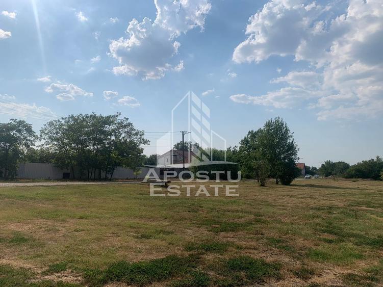 Teren Construcții intravilan de 3840 mp, în Turnu