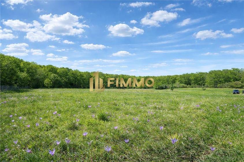 Teren Construcții intravilan de 2100 mp, în Dragomirna