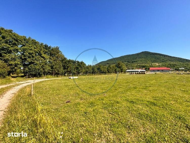 Teren de 700 mp, în Șieu