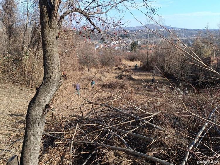 Teren de 4200 mp, în Poiana