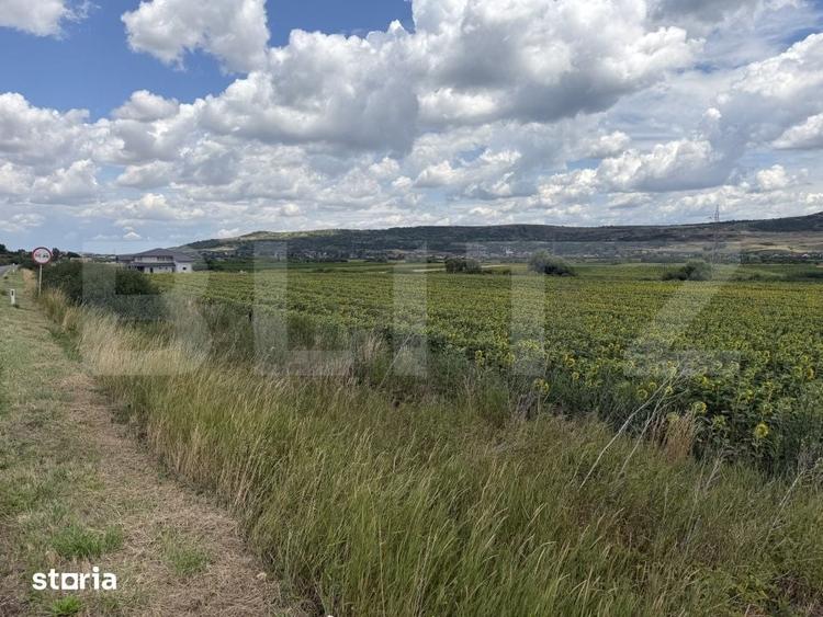 Teren de 11500 mp, în Bobota