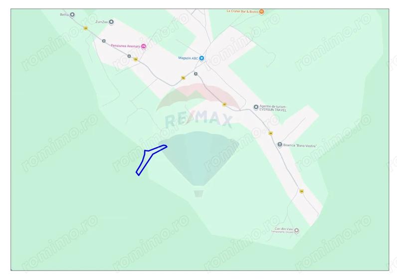 Teren de 9465 mp, în Betfia