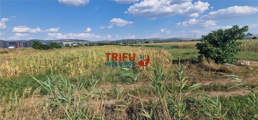 Teren Construcții intravilan de 5756 mp, în Ampoi 1
