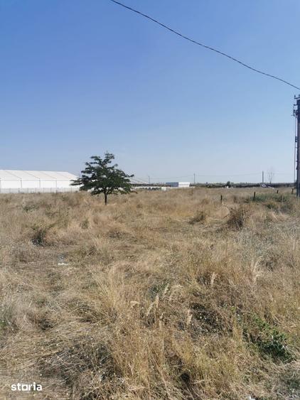 Teren extravilan arabil | Intrare in Pielesti | Zona Peugeot - 1