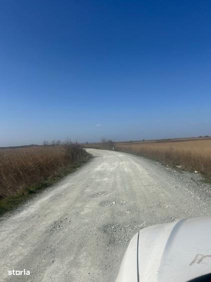 Teren de 1000 mp, în Corbu