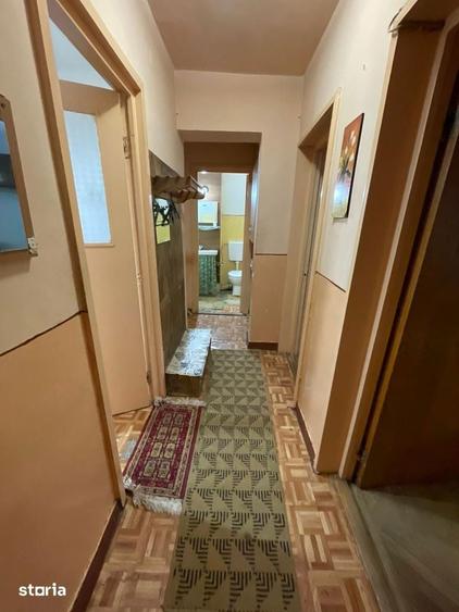Apartament cu 2 camere de va^nzare Cetate - 6