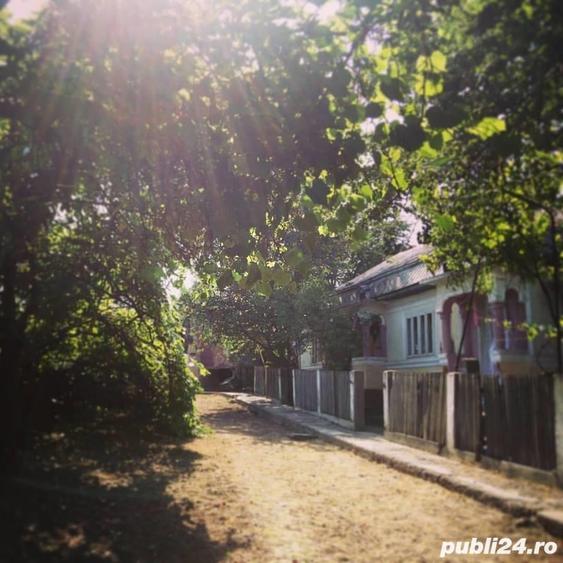 Teren de 4600 mp, în Păunești