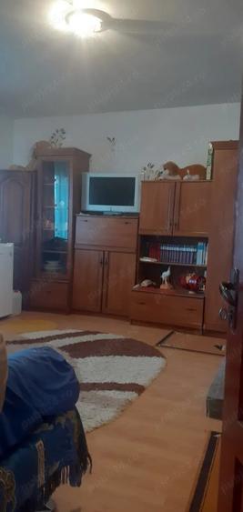 Casa cu curte mare ?i vie pe spalieri - 6
